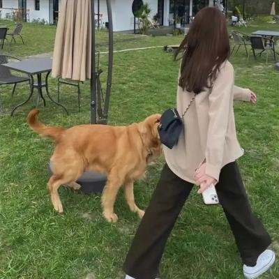 结界师
