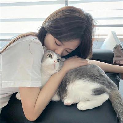 保佑哈特第一季