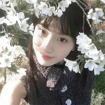 红盾先锋